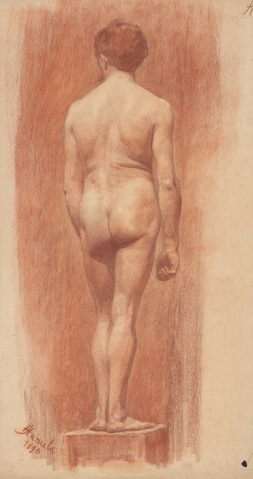 Model