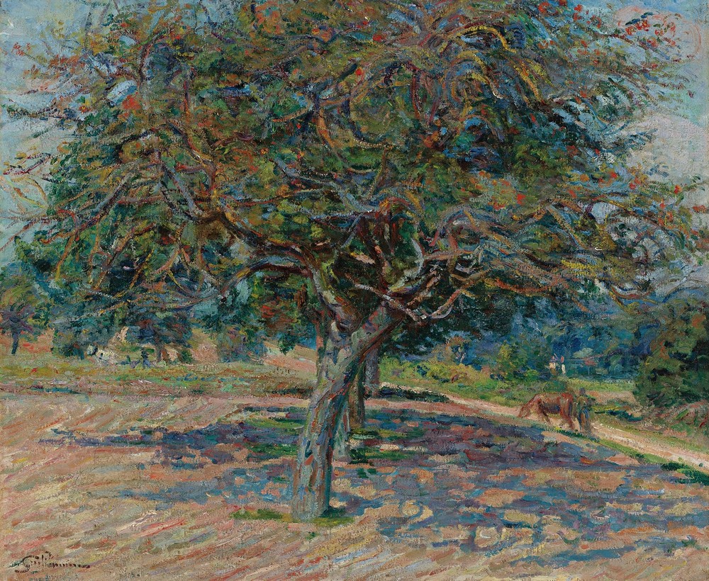 Arbres En Île-De-France