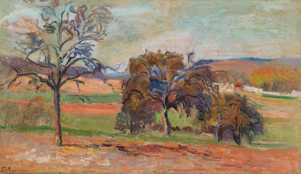 Paysage boisé