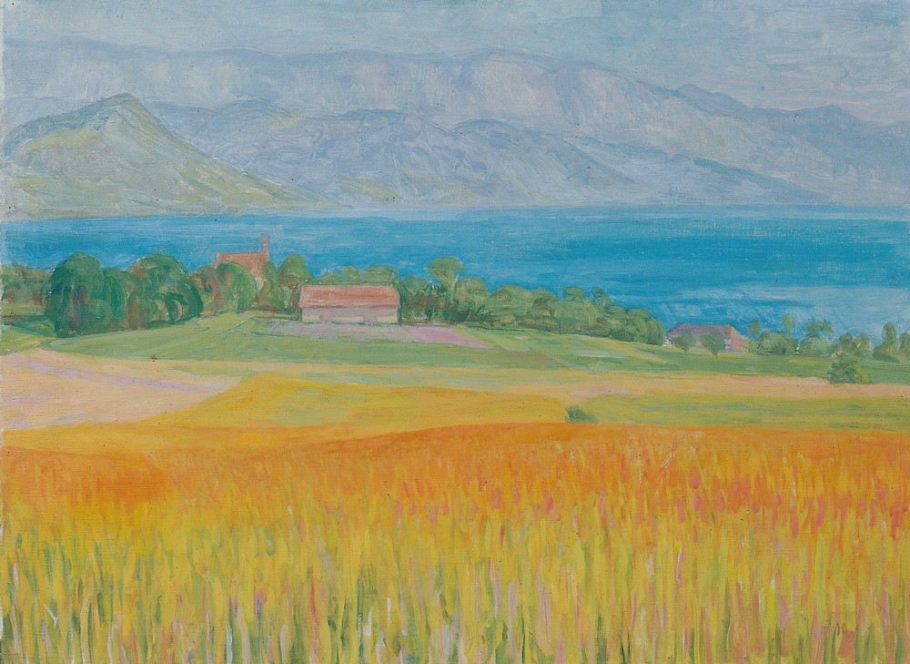 Kornfeld am Attersee
