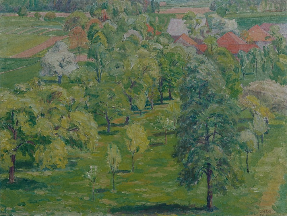 Frühling Am Attersee