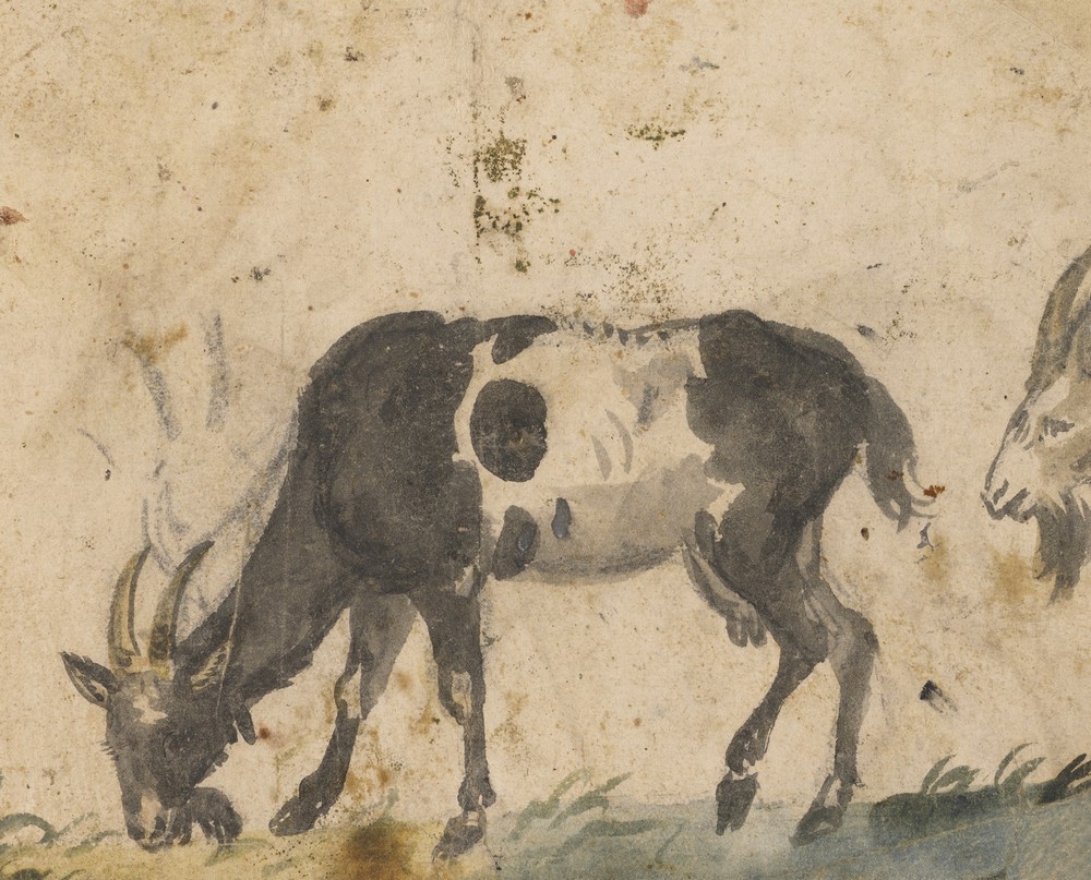 Study of Goats (about 1520–1530)
