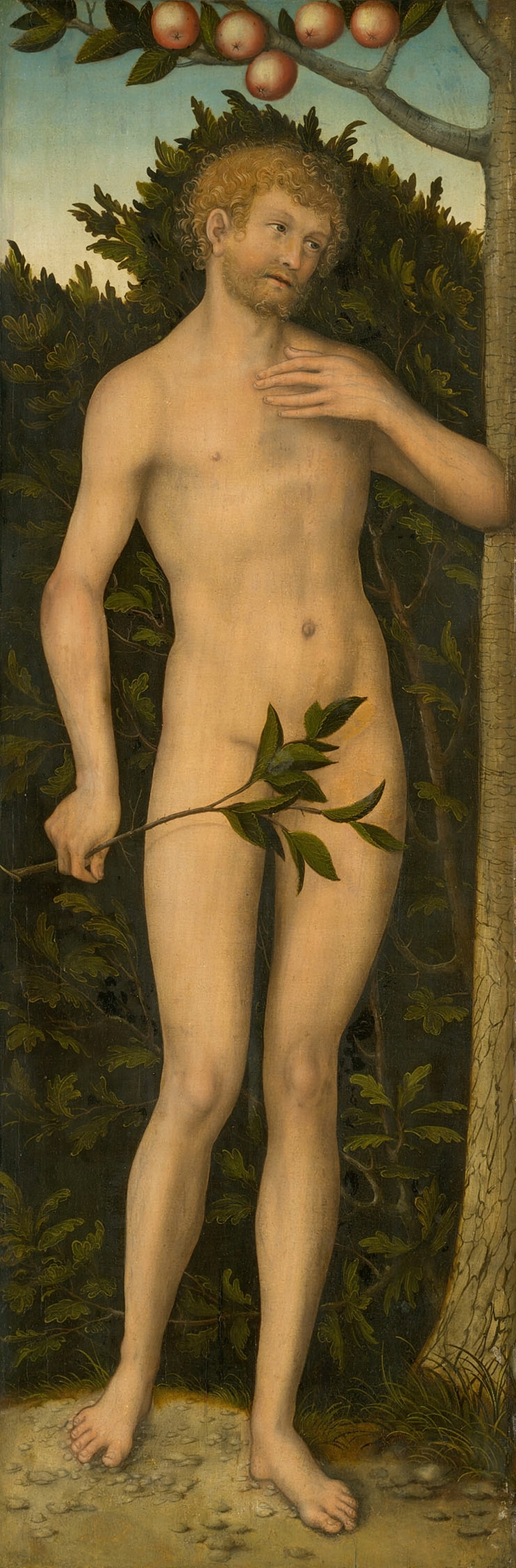 Adam (1533-37)