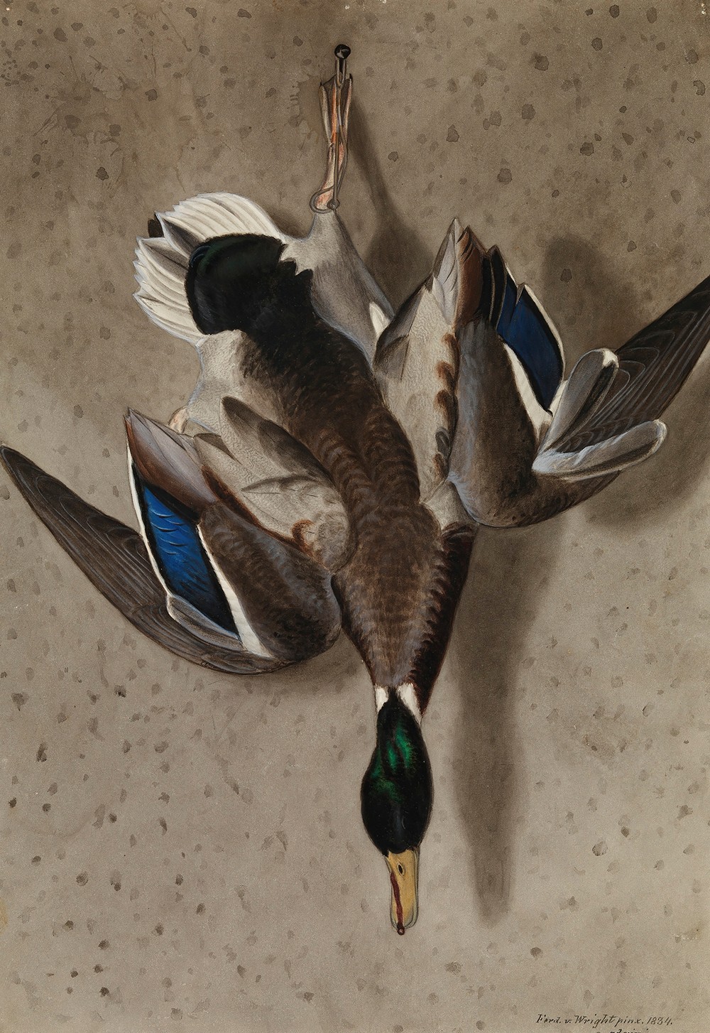Hanging Mallard