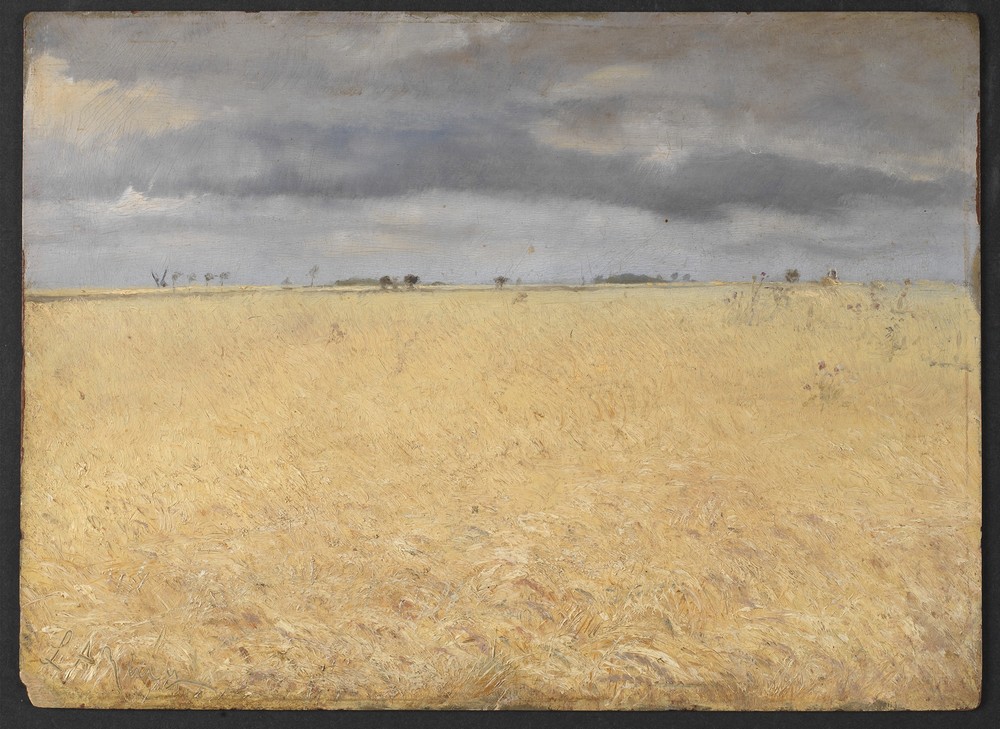 A Rye Field near Ring Village