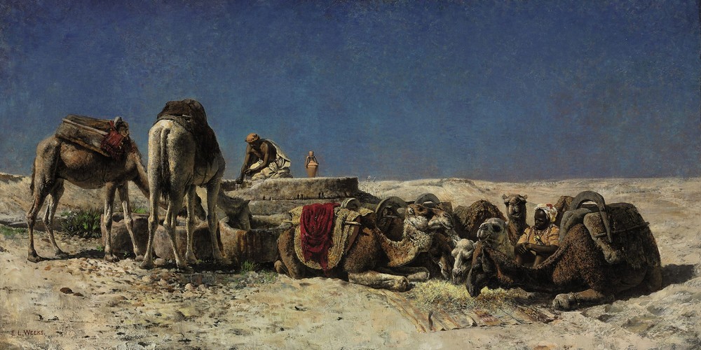 Camels beside a cistern