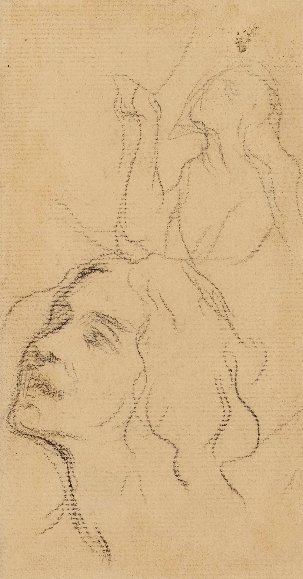 Etude d’une femme en buste et d’un visage de femme