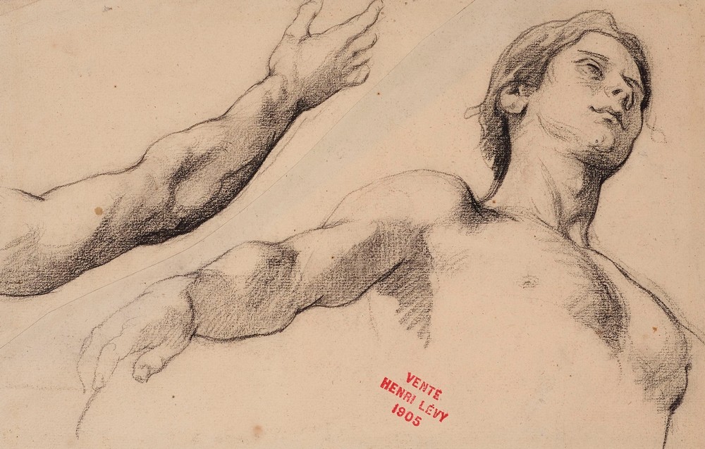 Etude de jeune homme en buste et étude d’un bras