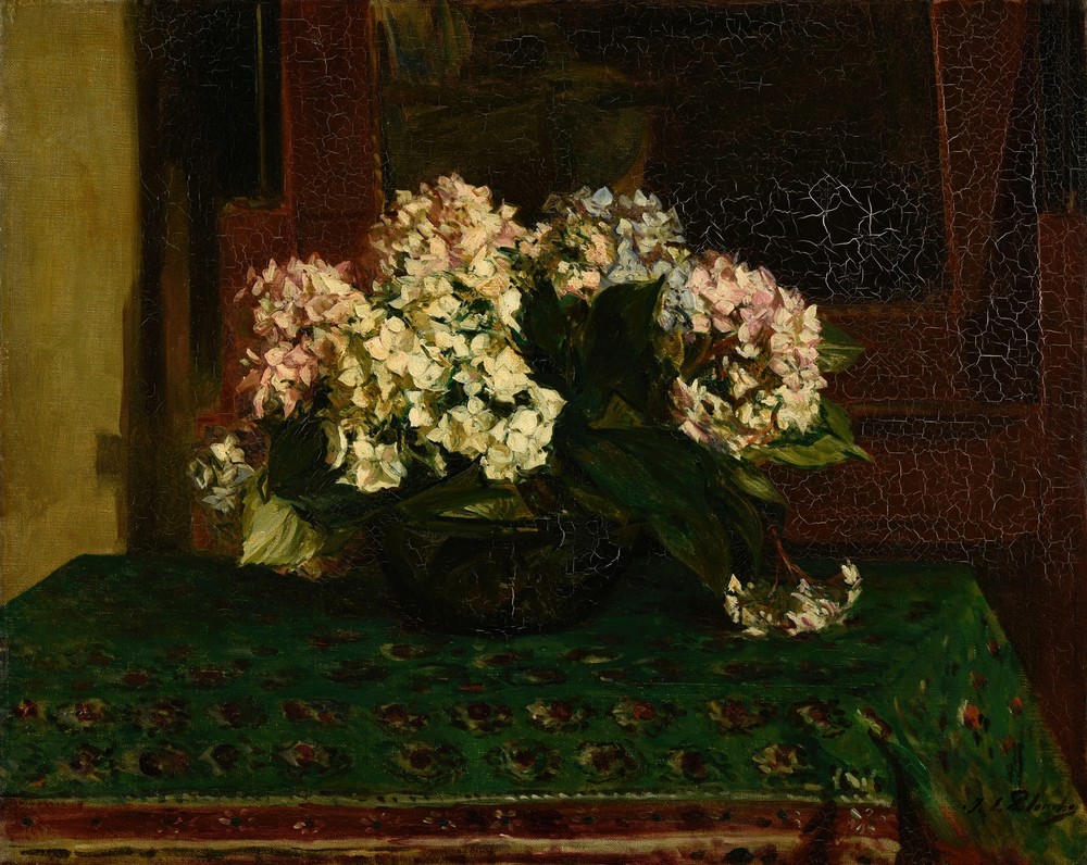 Hortensias (grande chaleur)
