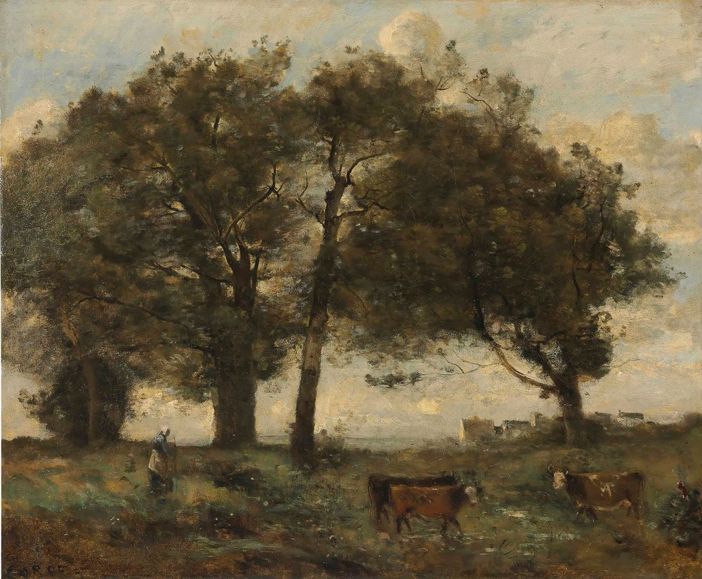 Marecages Boisée Avec Trois Vaches