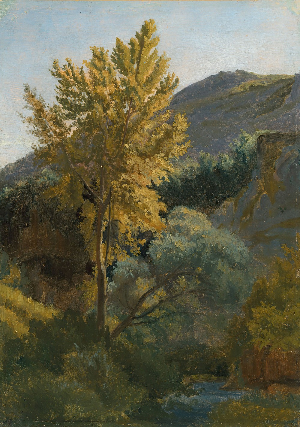 Etude d’arbre près d’un torrent en Italie (circa 1826-1827)