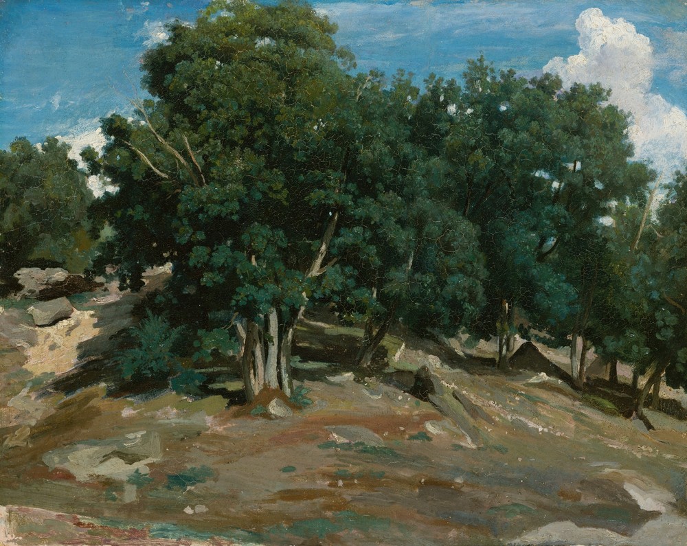 Fontainebleau; Oak Trees at Bas-Bréau