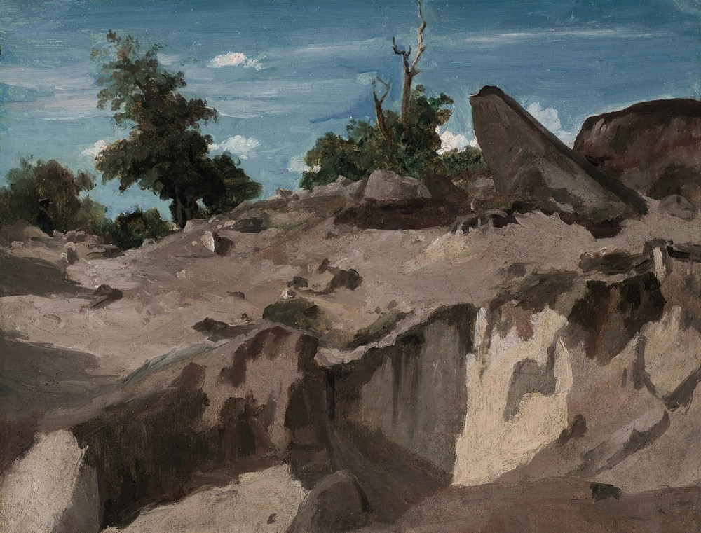 Forêt de Fontainebleau – Au plateau brûlé