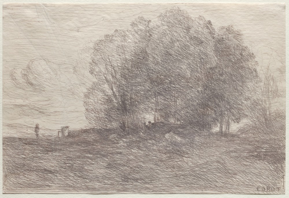 Group of Trees
