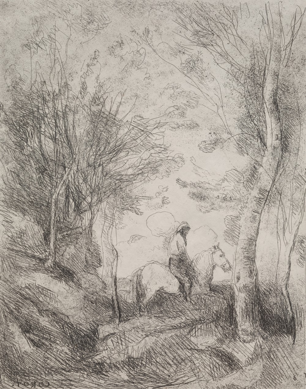The Great Cavalier in the Wood