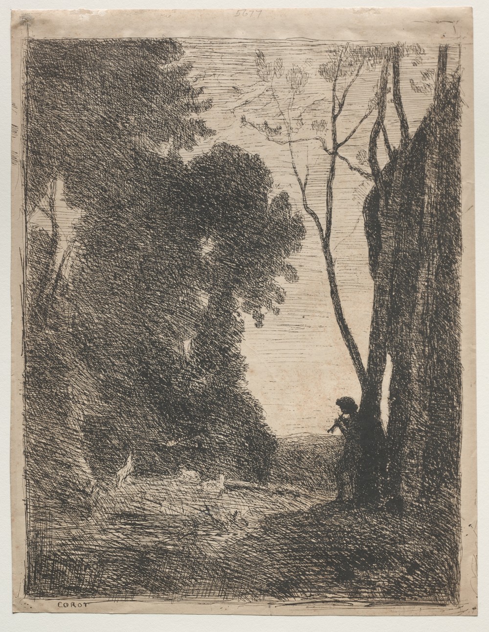 The Little Shepherd