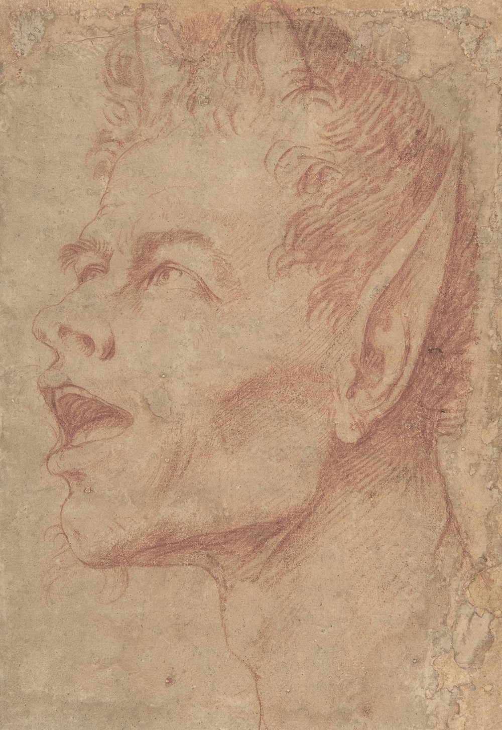 Head of a Satyr Facing Left (ca. 1625–30)