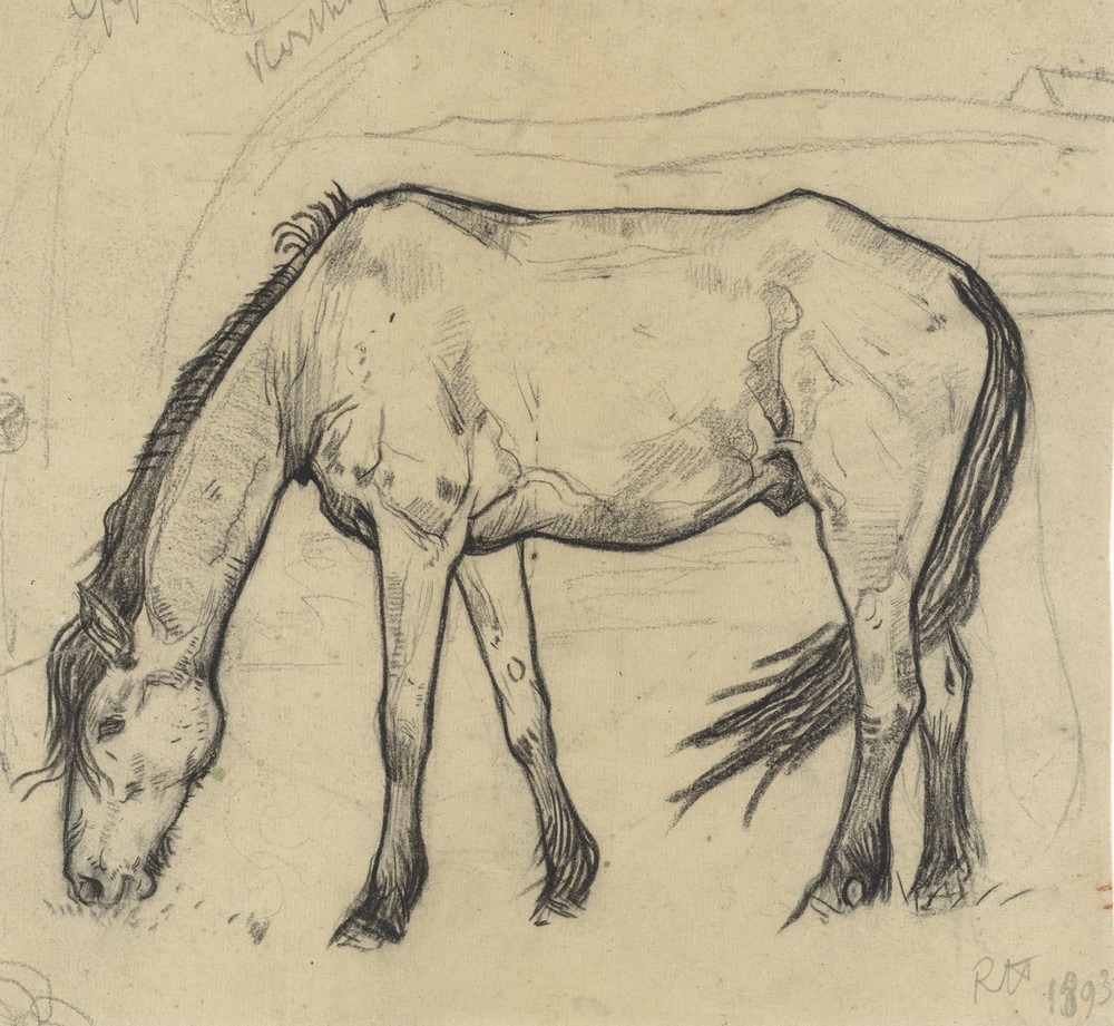 Grazend paard te Noordwijk