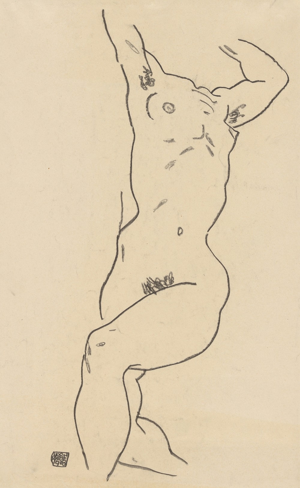 Torso of a Nude