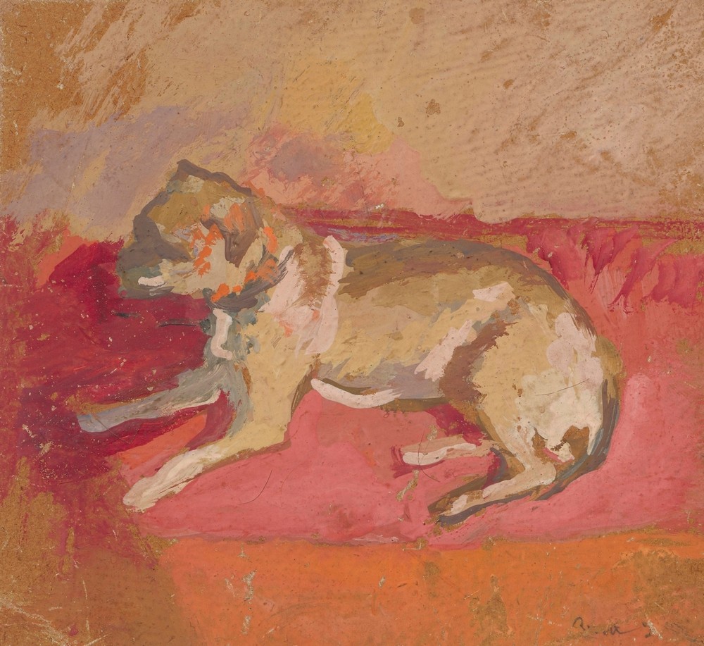 Lying dog