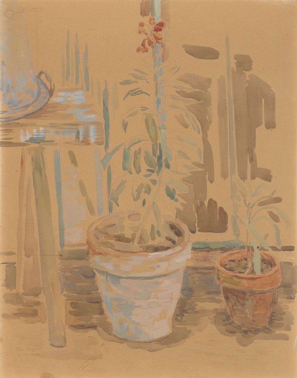 Flowers in pots