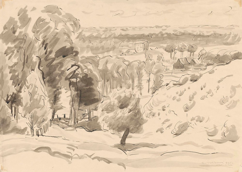 Extensive landscape – Nowe Miasto
