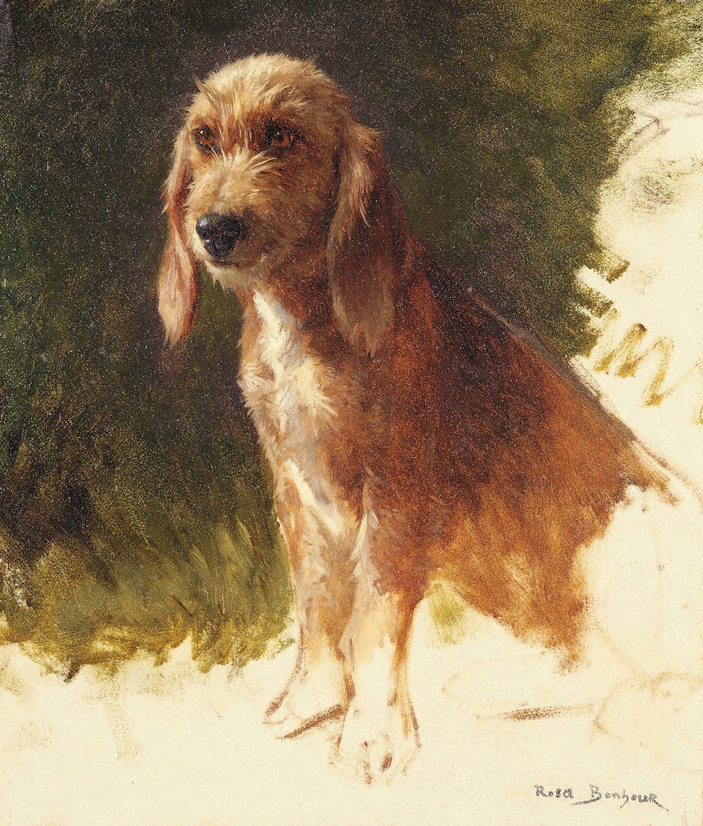 Study of a Dog (1860s)