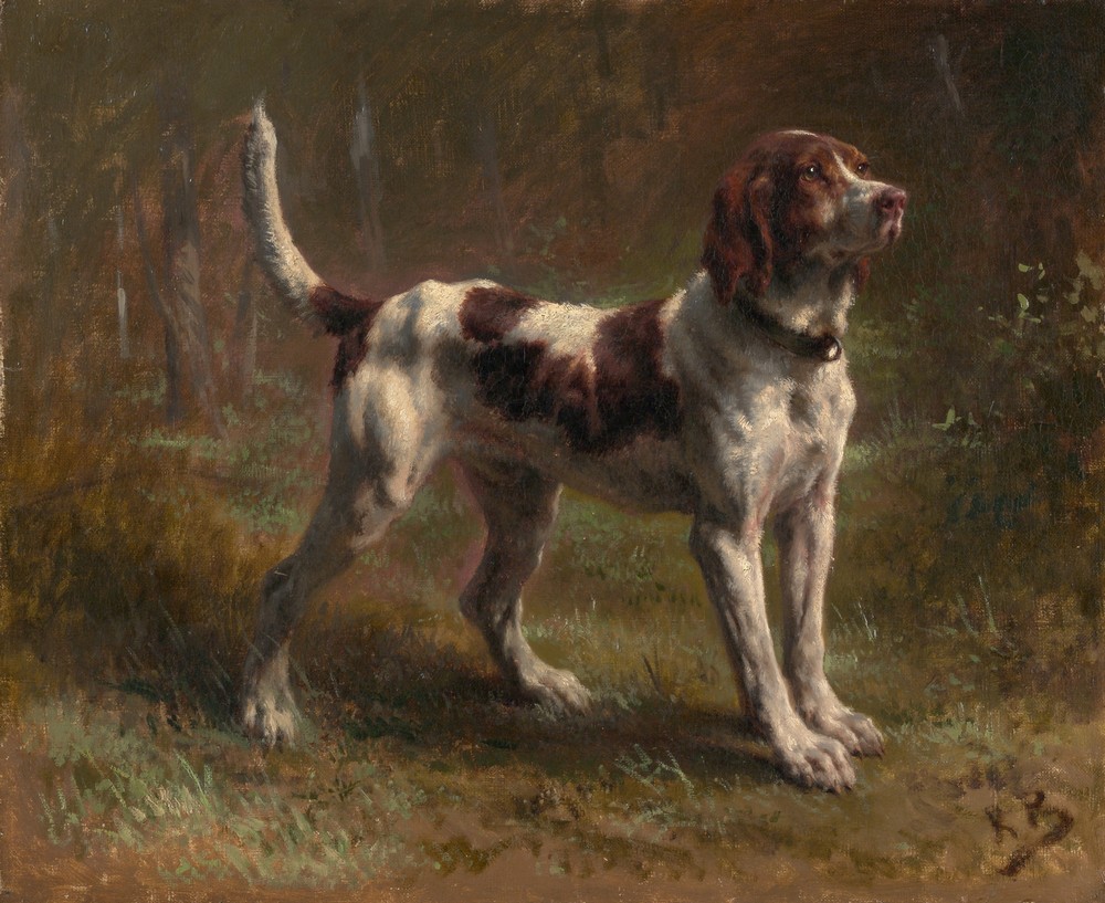 A Limier Briquet Hound (ca. 1856)