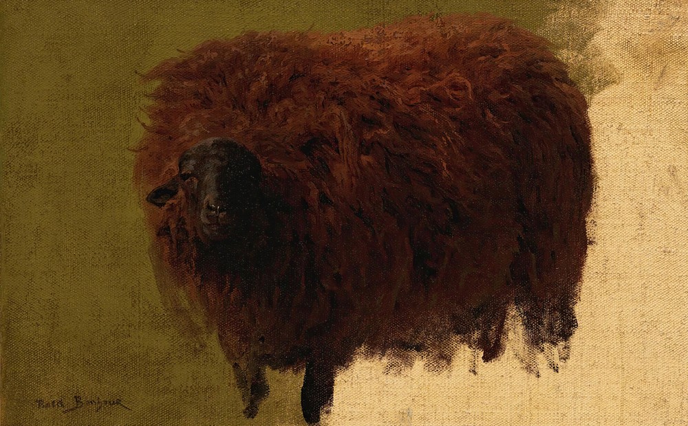 Large Wooly Sheep (Wether)