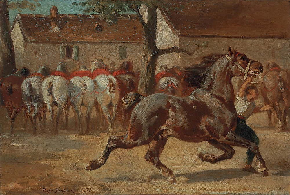 Trotting A Horse
