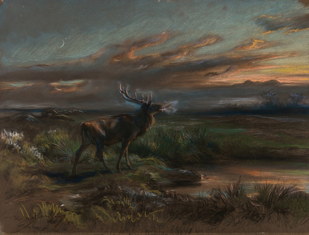 The Call of the Stag (1890s)