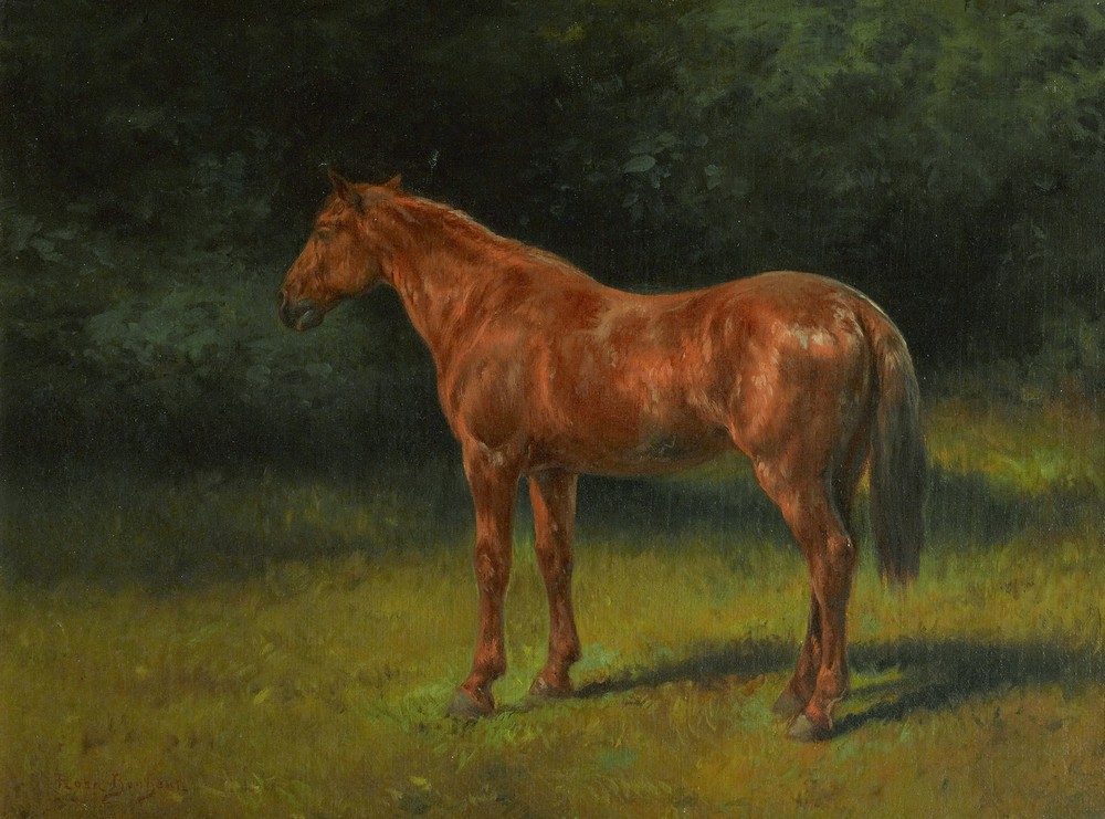 L’oseille Rouge