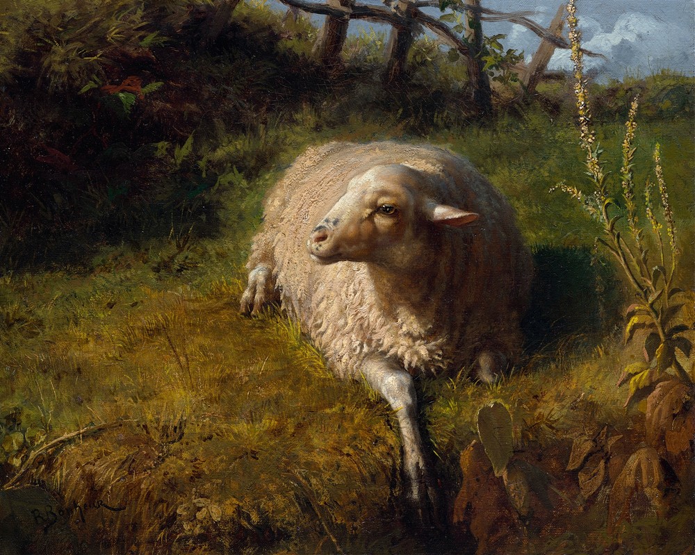 A Sheep at Rest (second half of the 19th century)