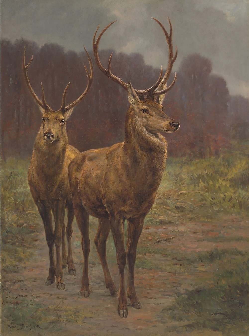 Monarchs Of The Forest