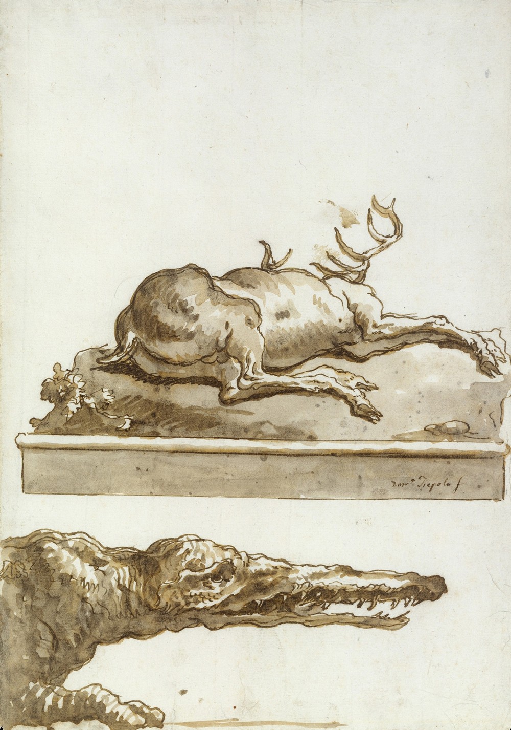 The Head of a Crocodile (after 1770)