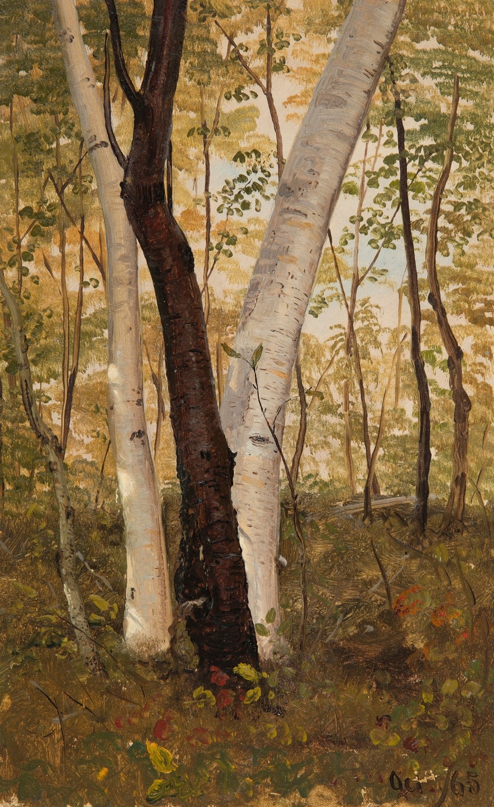 In the Woods, Hudson, New York