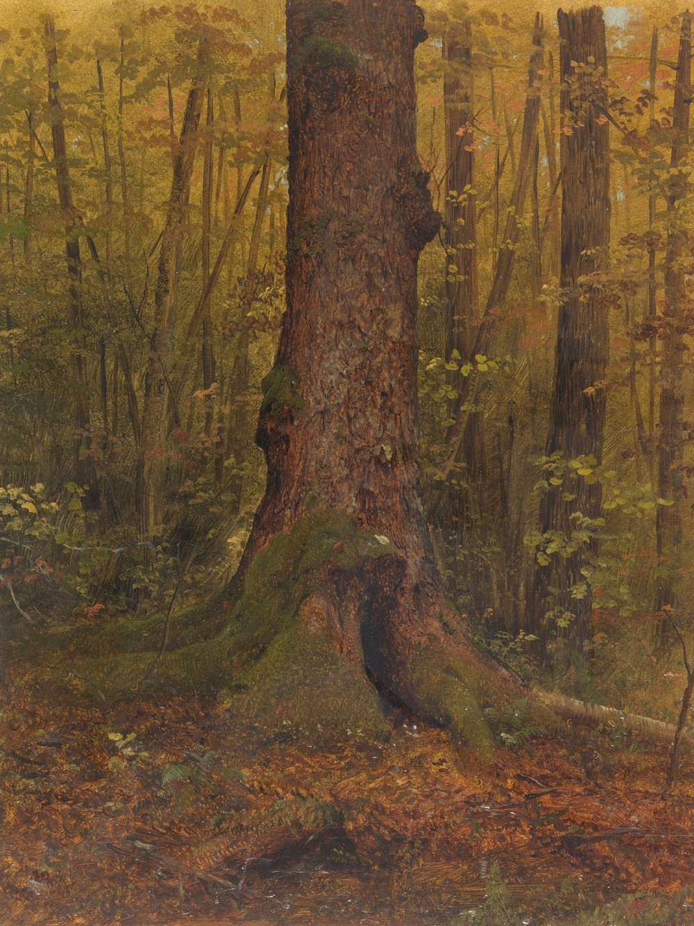 In the Woods, probably Maine (1850–60)