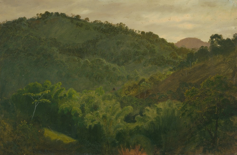 Landscape from Jamaica, West Indies