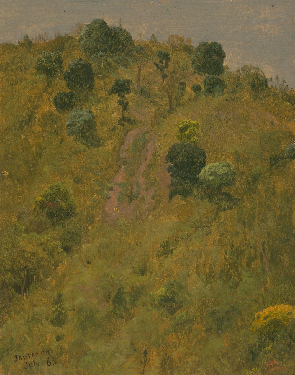 Landscape V