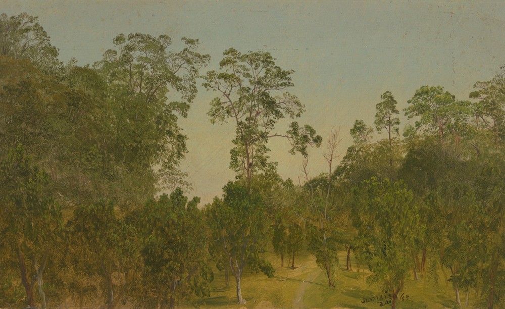 Landscapes (July 1865)