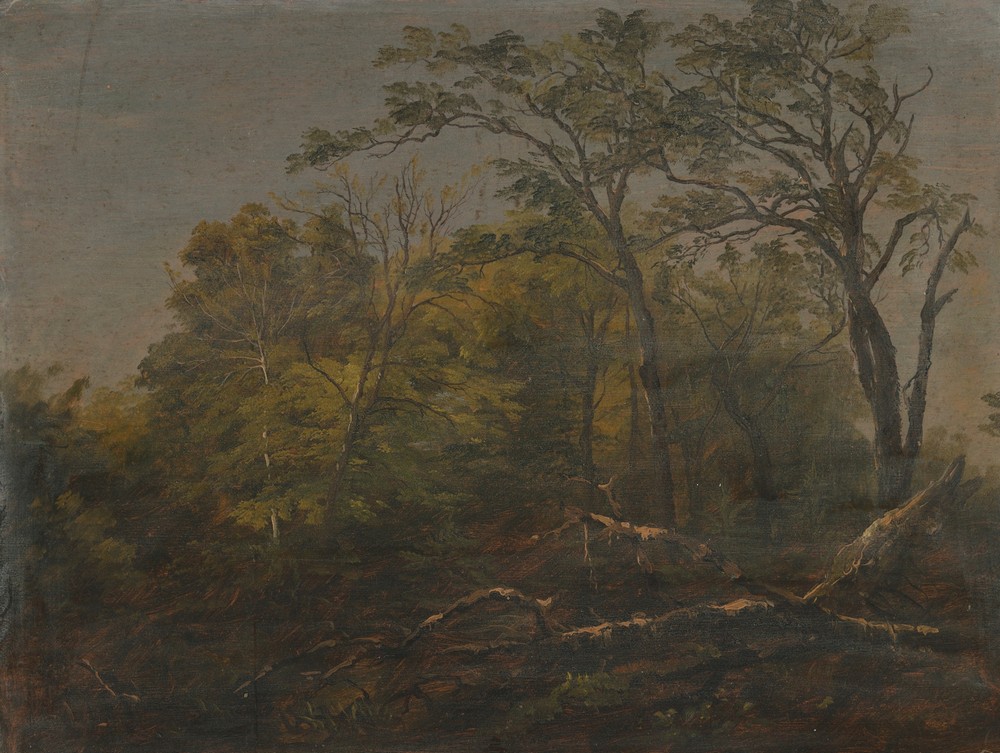 Maine Woods (1845–55)