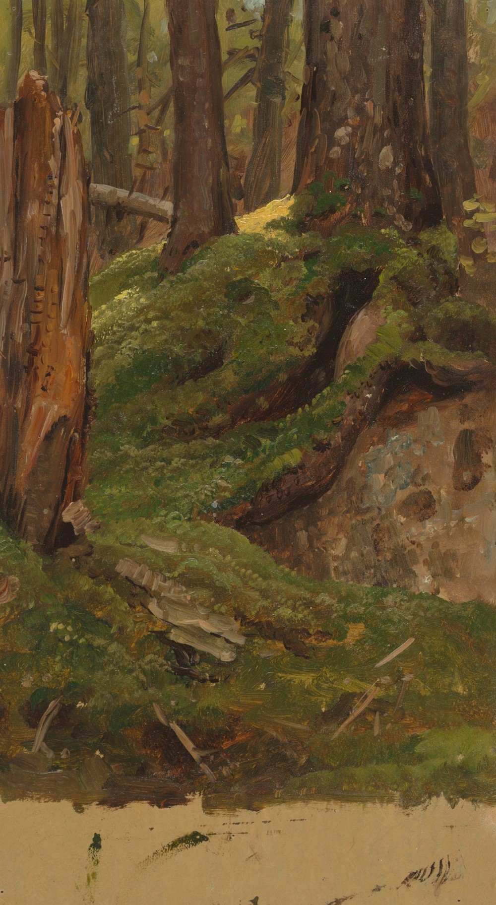 Maine woods (1855–65)