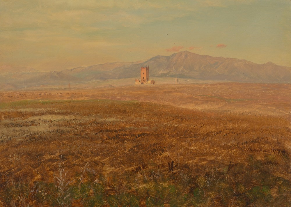 Mexican landscape