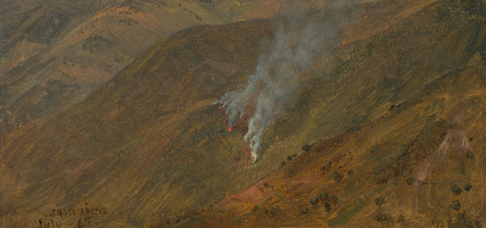 Mountainside with brush-fire