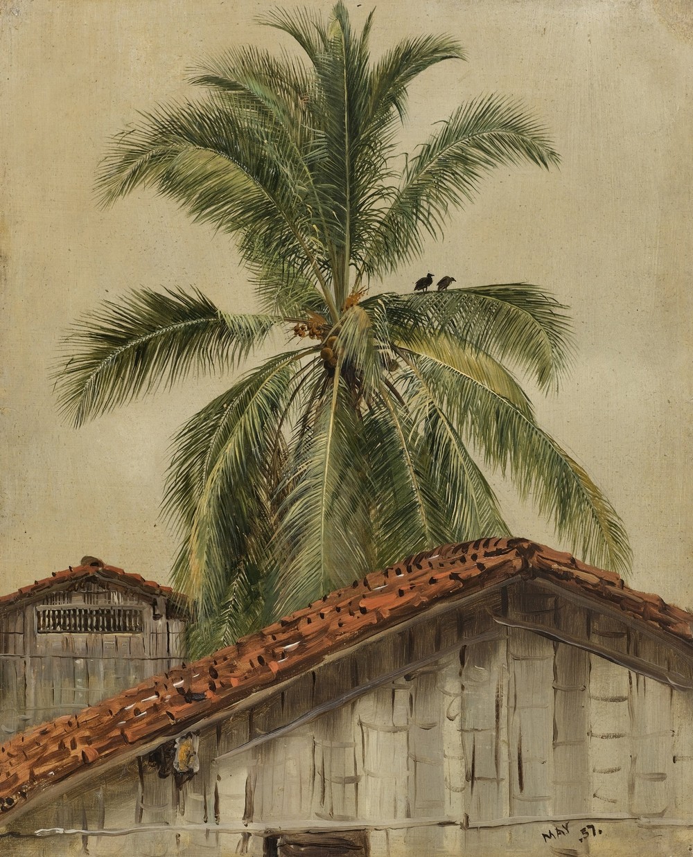 Palm Trees and Housetops, Ecuador