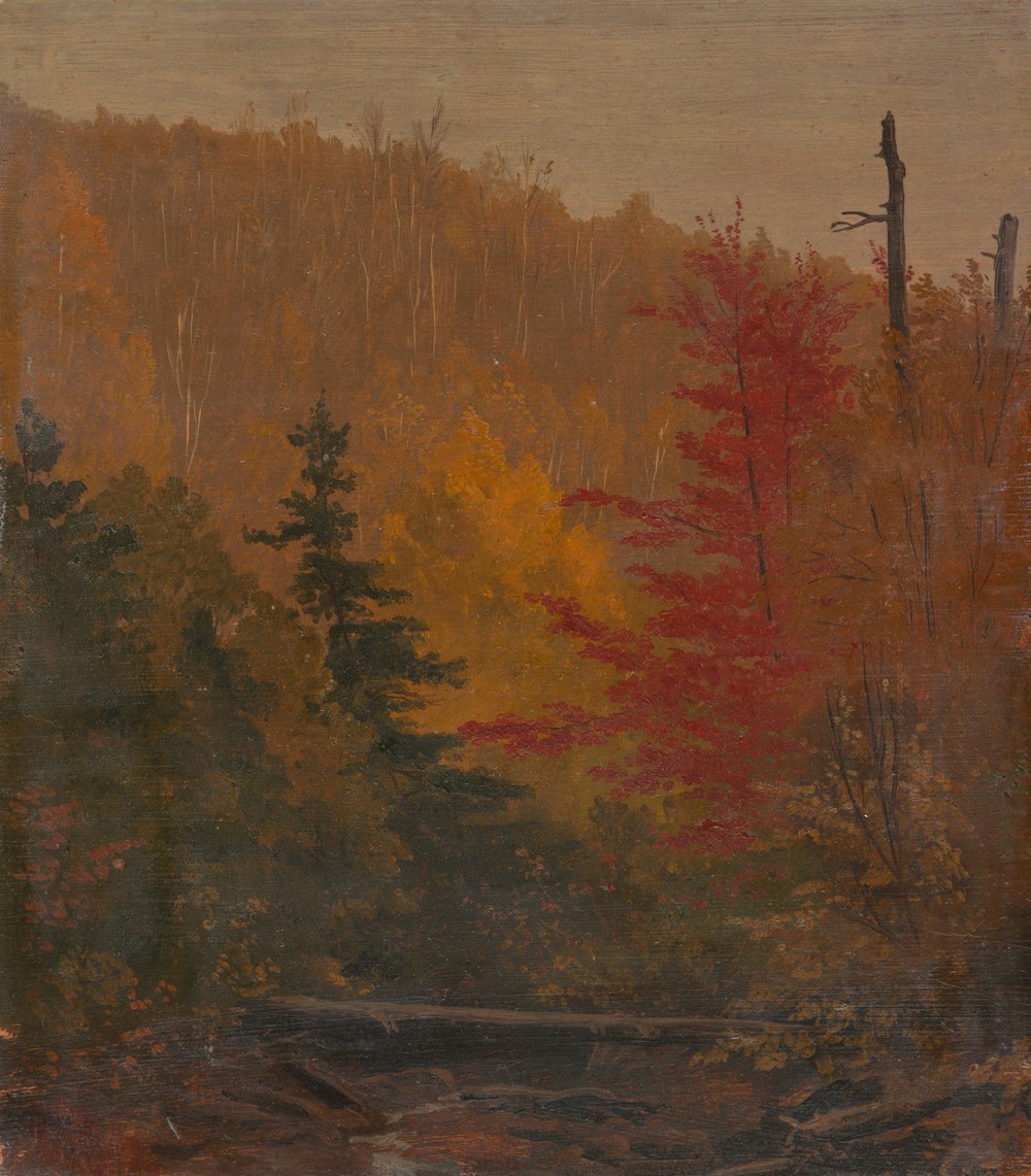 Probably near Katahdin, autumn (1865–70)