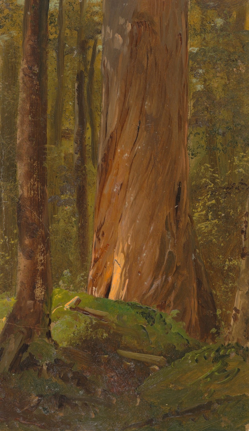 Study in the Maine Woods (1855–65)
