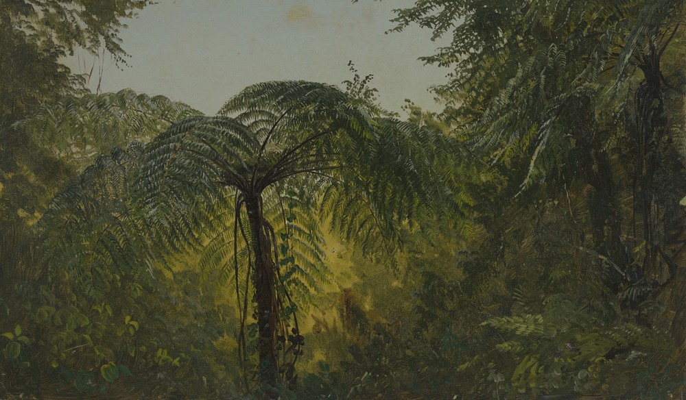 Tropical Landscape (June or July 1865)