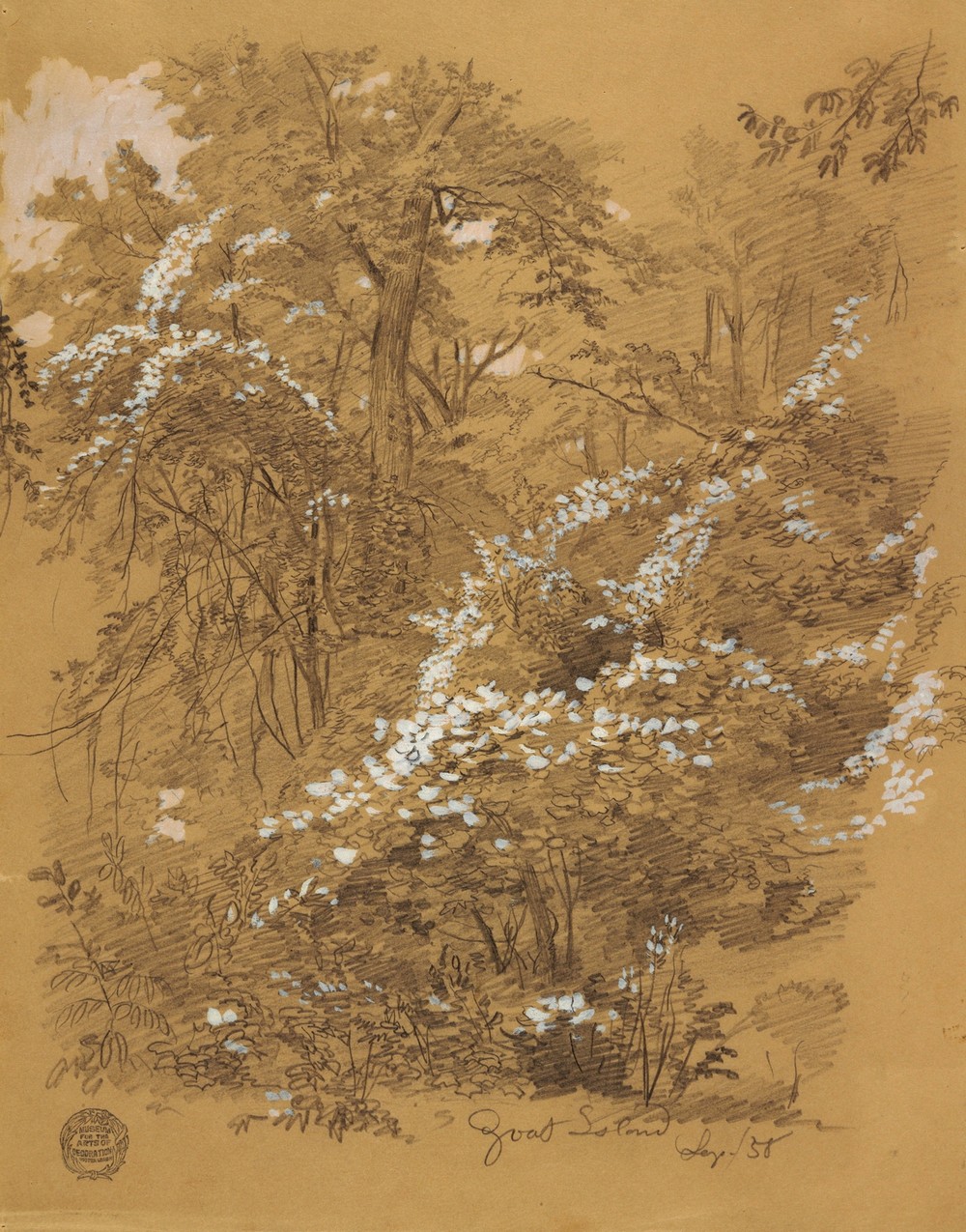 Woodland Scene, Goat Island, Niagara River, New York