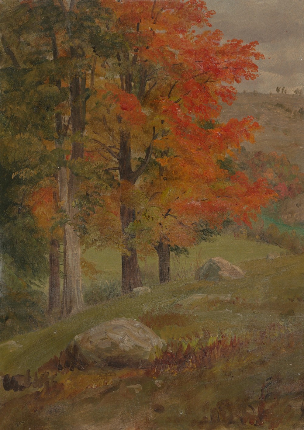 Woods in autumn
